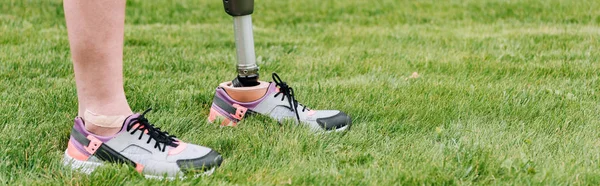 Plano panorámico de la deportista discapacitada de pie sobre hierba - foto de stock