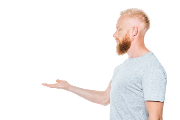 Bonito barbudo homem em cinza t-shirt apresentando algo, isolado no branco — Fotografia de Stock