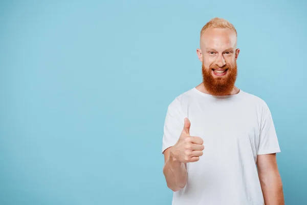 Retrato de hombre barbudo alegre en camiseta blanca que muestra el pulgar hacia arriba, aislado en azul - foto de stock