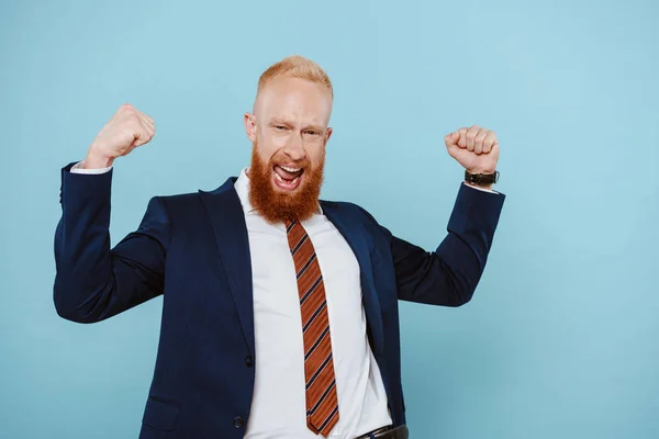 Alegre barbudo hombre de negocios en traje celebrando y gritando aislado en azul - foto de stock