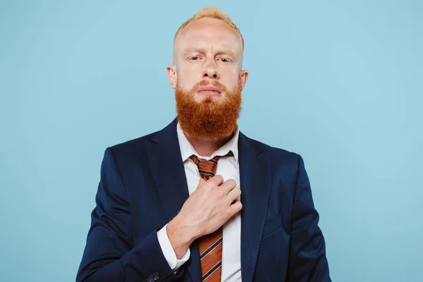 Hombre de negocios barbudo seguro en traje corregir corbata, aislado en azul - foto de stock