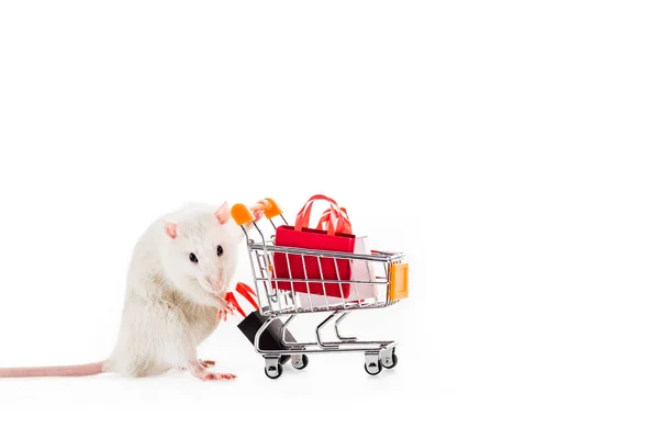 Rato segurando carrinho de compras com sacos de compras no fundo branco no Ano Novo — Fotografia de Stock