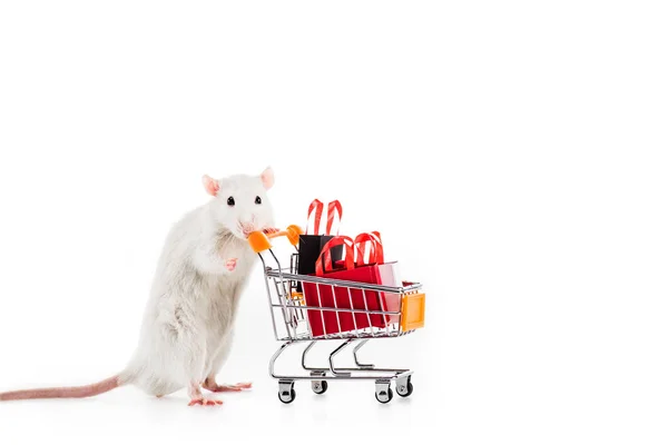 Carrito de compras de rata con bolsas de compras sobre fondo blanco en Año Nuevo - foto de stock