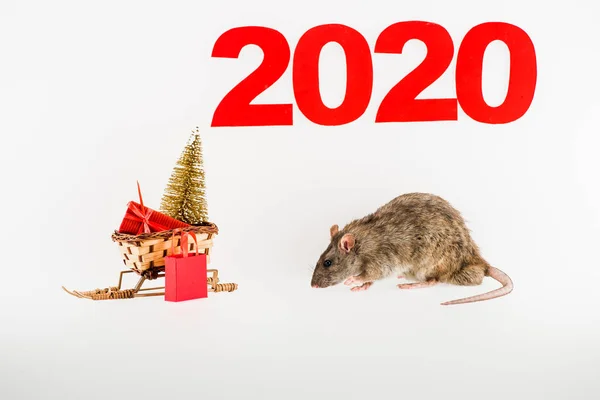 2020, traîneau de rat et d'osier avec cadeau de Noël et arbre de Noël sur fond blanc — Photo de stock