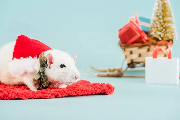 Селективный фокус крысы в костюме на красной ковровой дорожке в Новый год — стоковое фото