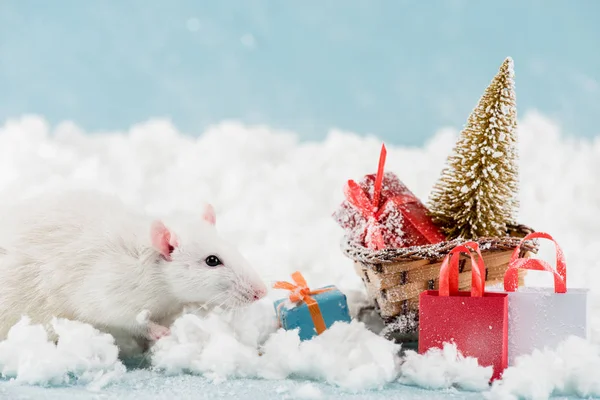 Trineo de rata y mimbre con árbol de Navidad y cajas de regalo en Año Nuevo — Stock Photo