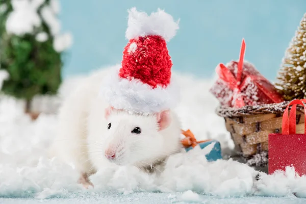 Rat in santa hat and wicker sled with gift boxes in New Year — Stock Photo