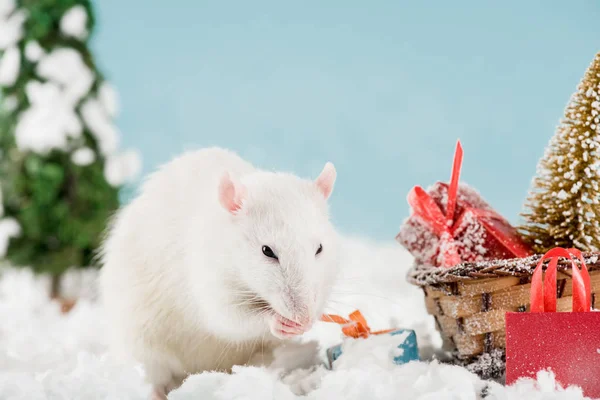 Rat and wicker sled with christmas tree and gift boxes in New Year — Stock Photo