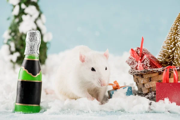 Trineo de rata, botella y mimbre con árbol de Navidad y cajas de regalo en Año Nuevo - foto de stock