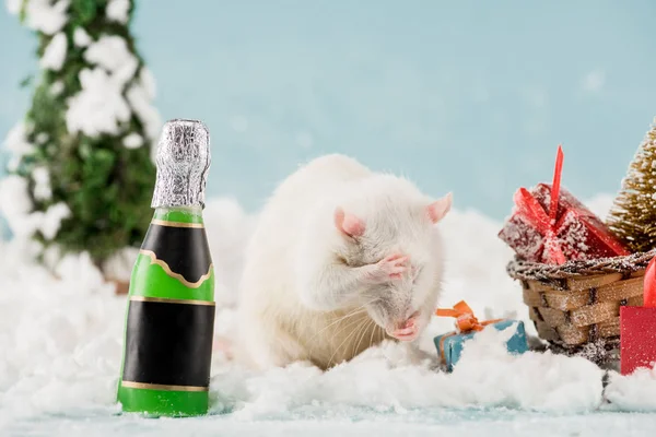 Крыса, бутылка и плетеные сани с елкой и подарочные коробки в Новый год — стоковое фото