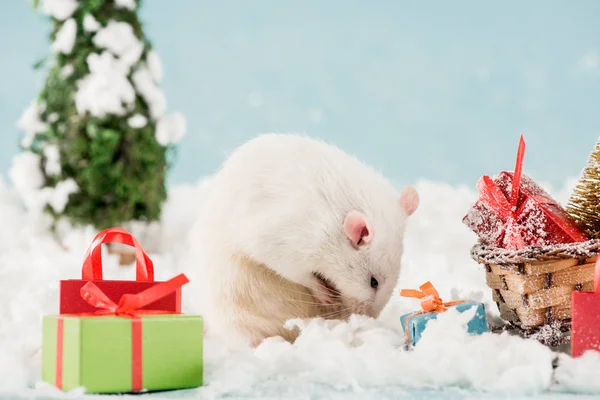 Ratto, bottiglia e slitta di vimini con scatole regalo a Capodanno — Foto stock