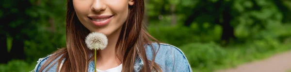 Panoramic orientation of cheerful girl holding dandelion — Stock Photo