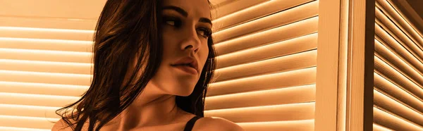 Panoramic crop of sensual woman looking away near louvers — Stock Photo