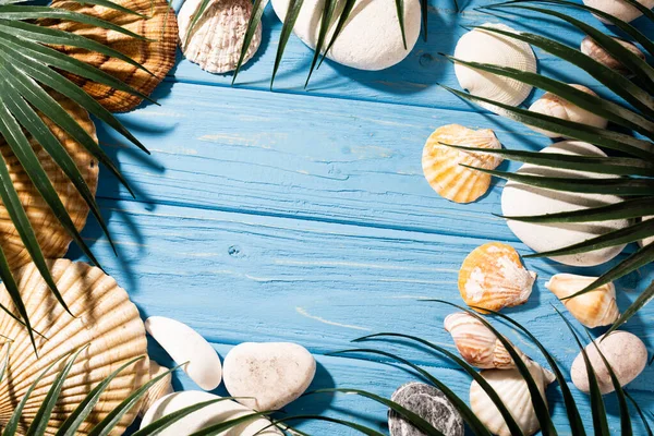 Vista superior de conchas e folhas de palma sobre fundo azul de madeira — Fotografia de Stock
