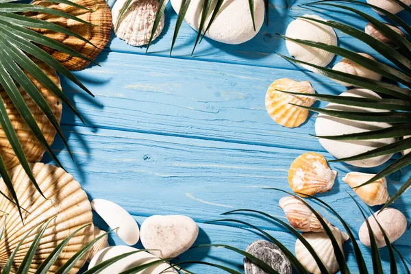 Top view of seashells and palm leaves on wooden blue background — Stock Photo