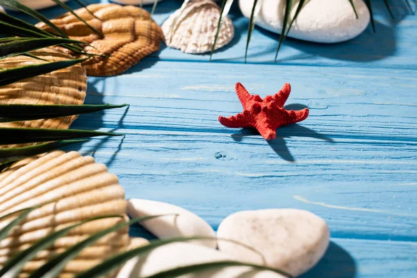 Coquillages, étoiles de mer et feuilles de palmier sur fond bleu bois — Photo de stock