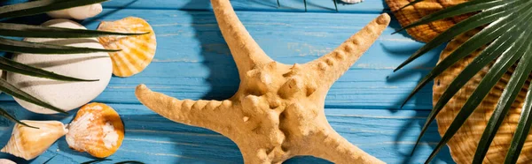 Top view of seashells, starfish and palm leaves on wooden blue background, panoramic shot — Stock Photo