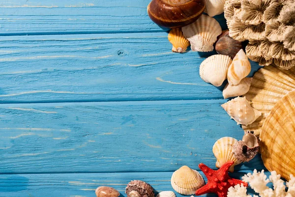 Vista dall'alto di conchiglie, stelle marine e corallo su sfondo blu legno — Foto stock