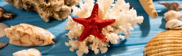 Coquillages, étoiles de mer et corail sur fond bleu bois, panoramique — Photo de stock