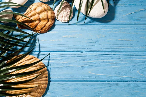 Top view of seashells and palm leaves on wooden blue background — Stock Photo
