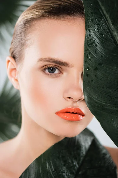 Hermosa chica con maquillaje mirando a la cámara cerca de hoja verde y húmedo en blanco - foto de stock
