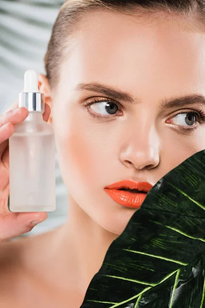 Close up of attractive woman holding bottle with serum near green leaf — Stock Photo