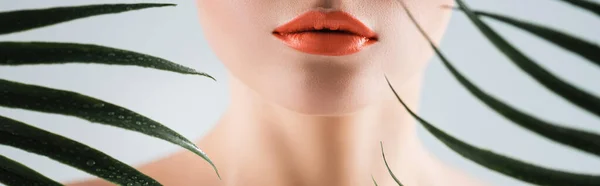 Panoramic crop of woman with orange lipstick near palm leaves on white — Stock Photo
