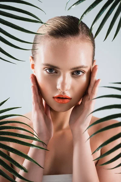 Attractive woman looking at camera while touching face near palm leaves on white — Stock Photo