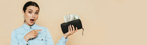 Shocked brunette woman in denim shirt pointing at wallet with dollars isolated on beige, panoramic shot — Stock Photo