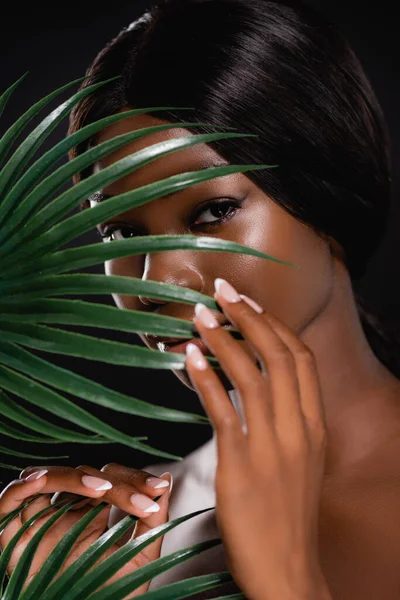 Mujer desnuda afroamericana detrás de hojas de palma verde aisladas en negro - foto de stock