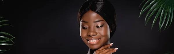 African american woman touching face and smiling near green palm leaves isolated on black, panoramic shot — Stock Photo