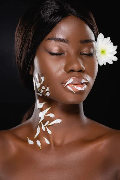 Femme américaine africaine nue avec les yeux fermés, chrysanthème blanc dans les cheveux et pétales sur le cou isolé sur noir — Photo de stock