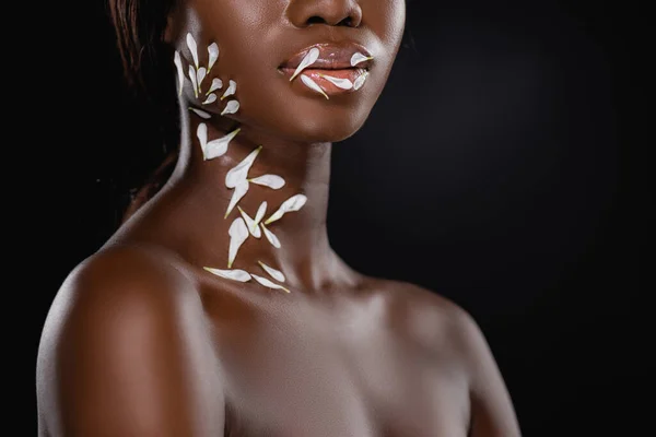 Vista recortada de mujer afroamericana desnuda con pétalos de crisantemo blanco en el cuello y los labios aislados en negro - foto de stock