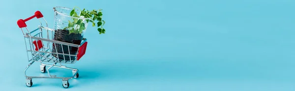 Green seedling in small shopping cart on blue background, panoramic shot — Stock Photo