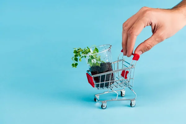 Abgeschnittene Ansicht der männlichen Hand auf kleinem Einkaufswagen mit grünem Sämling auf blauem Hintergrund — Stockfoto