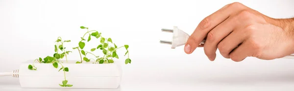 Cropped view of man holding power plug near green plant growing in socket in power extender on white background, panoramic shot — Stock Photo