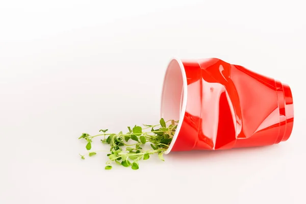 Copo descartável vermelho e planta verde no fundo branco — Fotografia de Stock