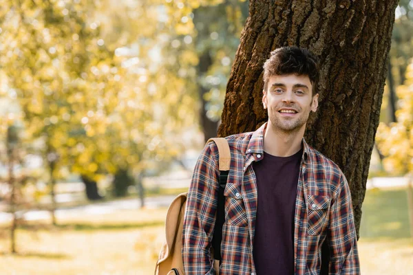 Мужчина в клетчатой рубашке смотрит в камеру возле ствола дерева в парке — стоковое фото
