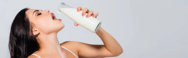 Panoramic shot of sexy woman in bra holding bottle with milk isolated on grey — Stock Photo