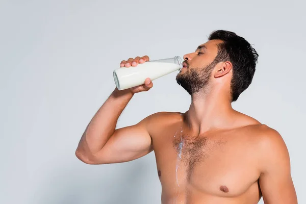 Uomo senza maglietta e barbuto che beve latte fresco su grigio — Foto stock