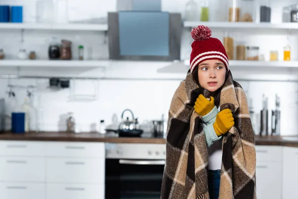 Дрожащая женщина в вязаной шляпе и перчатках, покрытая теплым клетчатым одеялом, стоя на холодной кухне — стоковое фото