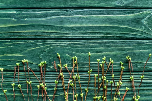 Draufsicht auf grünen Holzgrund mit blühenden Zweigen — Stockfoto
