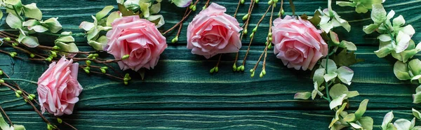 Top view of wooden green background with blossoming branches and roses, panoramic shot — Stock Photo