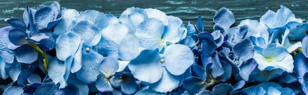 Vista superior de fondo verde de madera con flores azules, plano panorámico - foto de stock