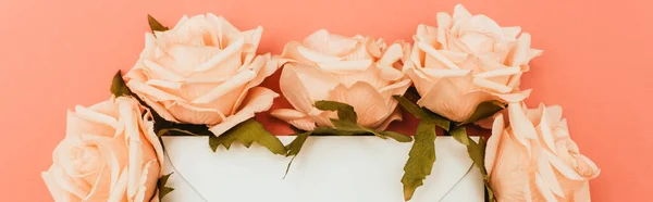 Top view of white envelope and roses on coral background, panoramic shot — Stock Photo