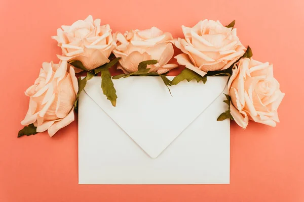 Top view of white envelope and roses on coral background — Stock Photo