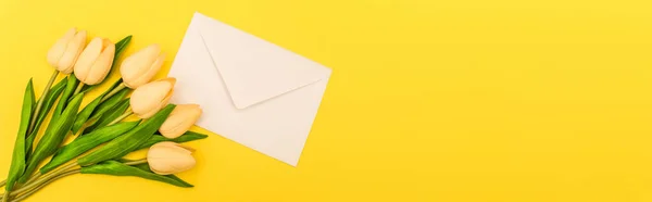 Top view of envelope near tulips on yellow background, panoramic shot — Stock Photo