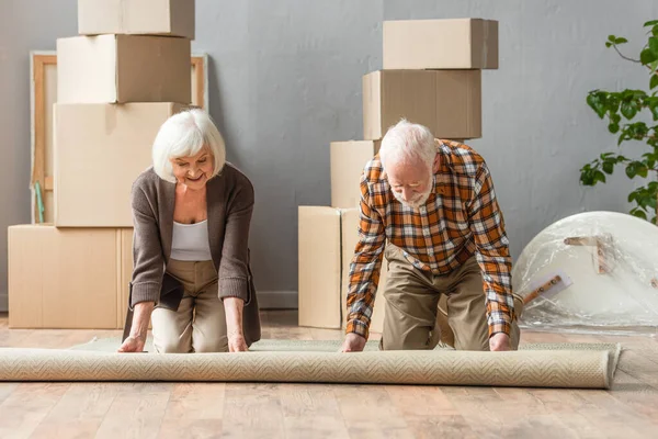Senior couple rolling carpet on knees with boxes, frames and plant on background — Stock Photo