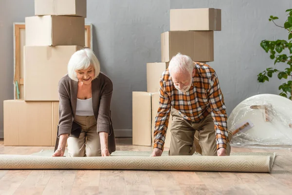 Pareja de ancianos alfombra rodante de rodillas con cajas, marcos y planta en el fondo - foto de stock