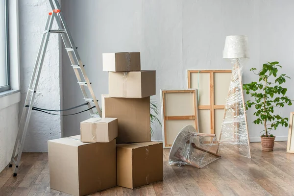 Boîtes en carton, cadres, échelle, lampe et usine dans une pièce vide, concept mobile — Photo de stock